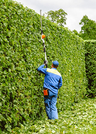 Entretien d'espaces verts